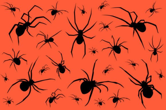 8 Black Widow Spider Photoshop Brushes