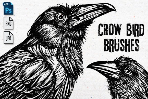 Crow Bird Brushes: Elevating Digital Design with Versatile Raven Assets